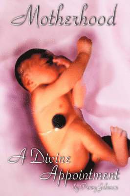 Penny Johnson - Motherhood A Divine Appointment, Häftad