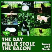 bokomslag THE Day Millie Stole the Bacon
