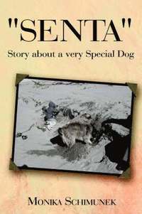 bokomslag 'Senta' Story About a Very Special Dog