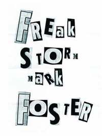 bokomslag Freak Storm