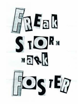 bokomslag Freak Storm