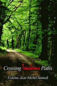 bokomslag Crossing Treacherous Paths