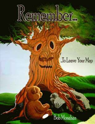 bokomslag Remember...