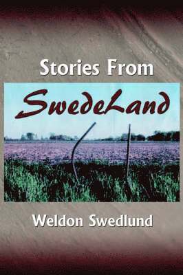 bokomslag Stories From SwedeLand