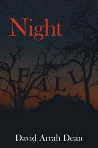 bokomslag Night Fall