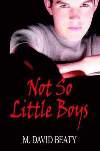 bokomslag Not So Little Boys