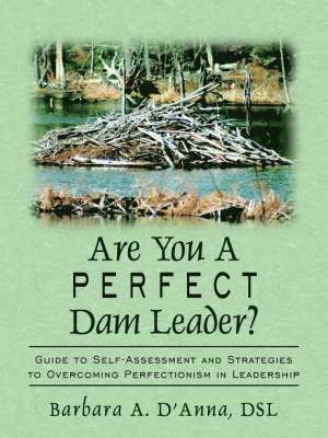 bokomslag Are You A Perfect Dam Leader?