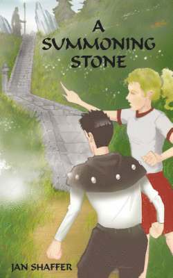bokomslag Summoning Stone