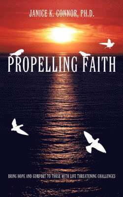 bokomslag Propelling Faith