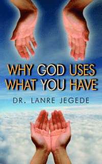 bokomslag Why God Uses What You Have