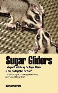 bokomslag Sugar Gliders