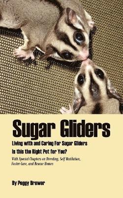 bokomslag Sugar Gliders
