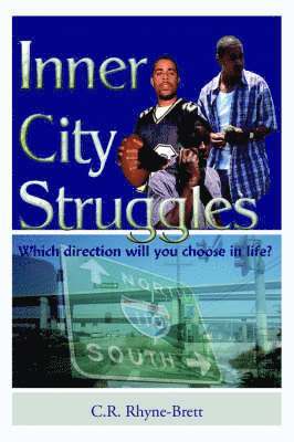 bokomslag Inner City Struggles