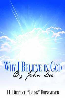 bokomslag Why I Believe in God By John Doe