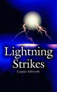 bokomslag Lightning Strikes