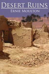 bokomslag Desert Ruins