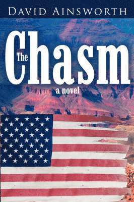 bokomslag The Chasm