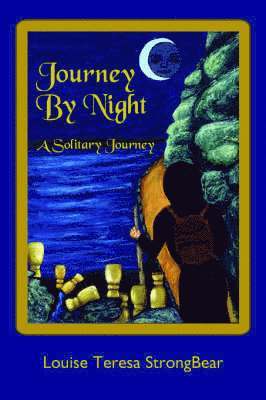 bokomslag Journey By Night