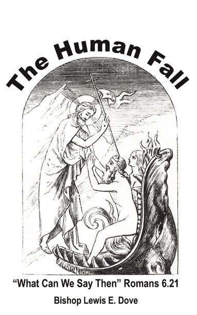 bokomslag Human Fall