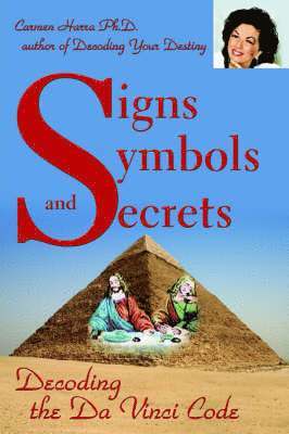bokomslag Signs Symbols and Secrets