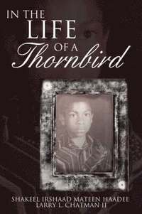 bokomslag In The Life of a Thornbird