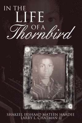 In The Life of a Thornbird 1