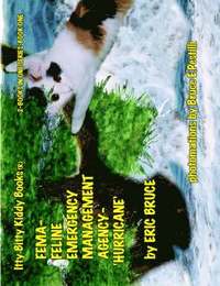 bokomslag FEMA-Feline Emergency Management Agency-Hurricane