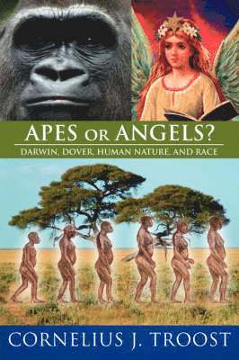 Apes or Angels? 1