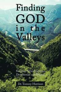 bokomslag Finding God in the Valleys