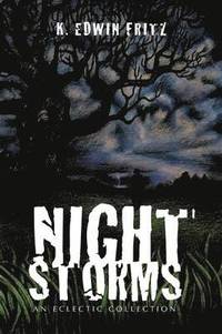 bokomslag Night Storms