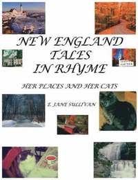 bokomslag New England Tales in Rhyme