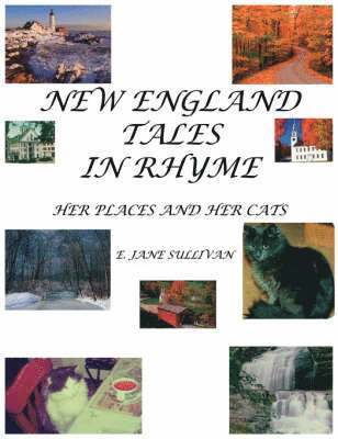bokomslag New England Tales in Rhyme