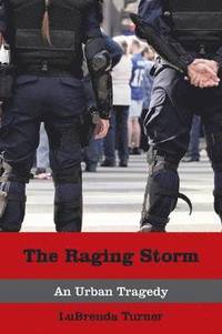 bokomslag The Raging Storm