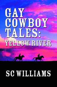 bokomslag Gay Cowboy Tales