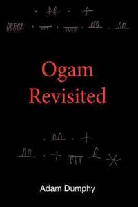 bokomslag Ogam Revisited