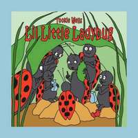 bokomslag Lil Little Ladybug