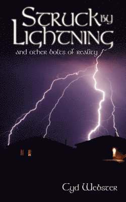 Struck By Lightning and Other Bolts of Reality 1