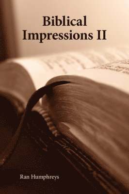 bokomslag Biblical Impressions II