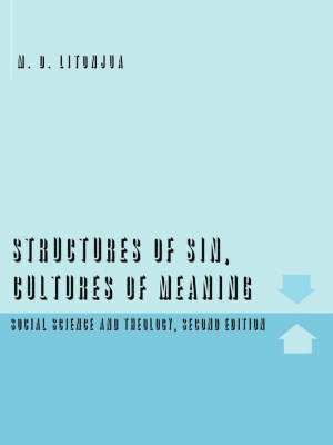 bokomslag Structures of Sin, Cultures of Meaning