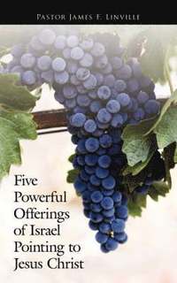 bokomslag Five Powerful Offerings Of Israel Pointing To Jesus Christ