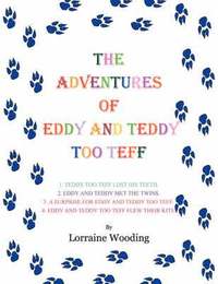 bokomslag THE Adventures of Eddy and Teddy Too Teff