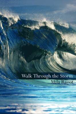 Walk Through the Storm 1