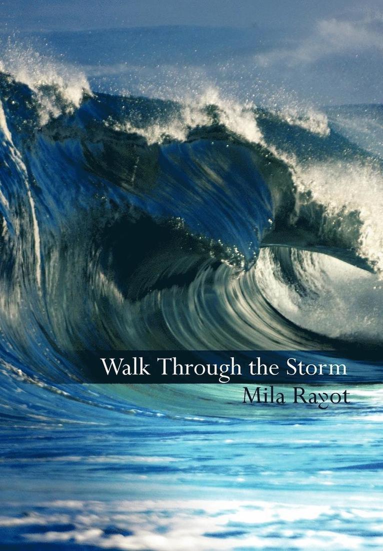 Walk Through the Storm 1