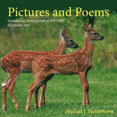 bokomslag Pictures and Poems