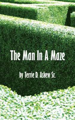 The Man In A Maze 1