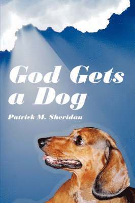 God Gets a Dog 1