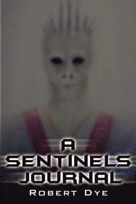 bokomslag A Sentinels Journal