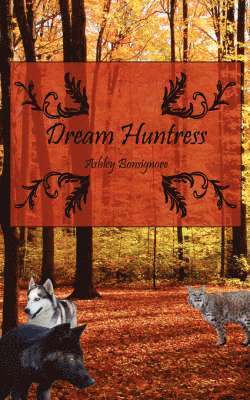 Dream Huntress 1