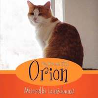 bokomslag Orion The Miracle Kitty