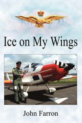 Ice On My Wings 1